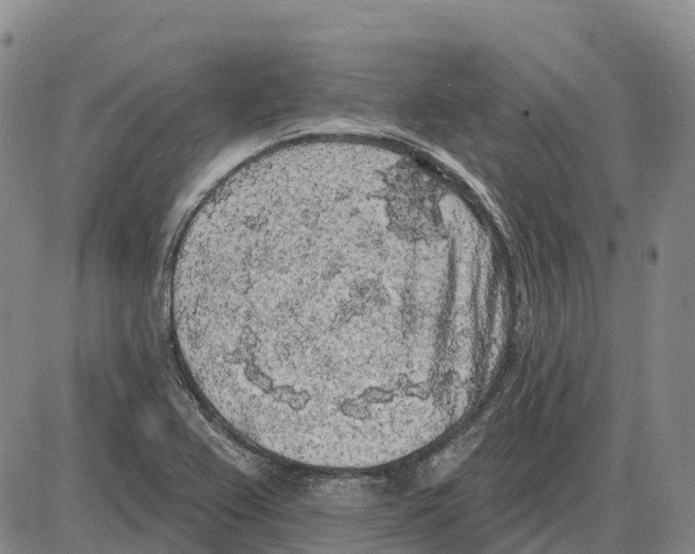 X0000085081367200704021426