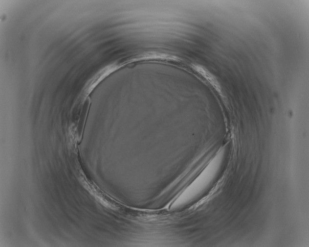 X0000085081369200704021426