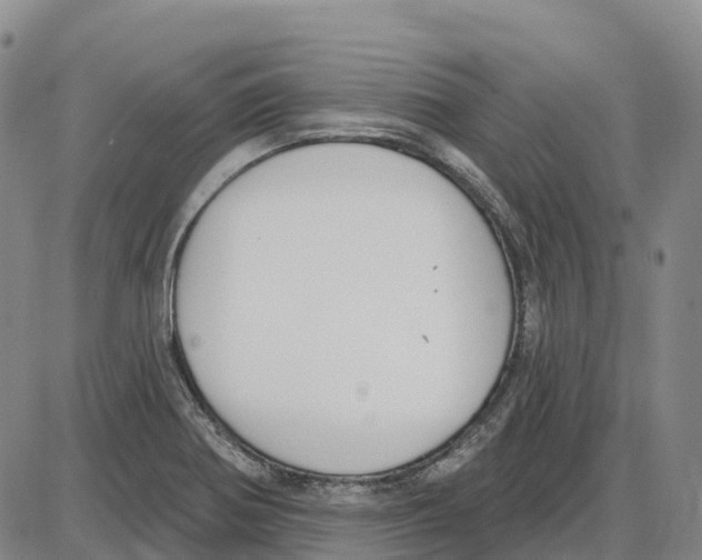 X0000085081370200704021426