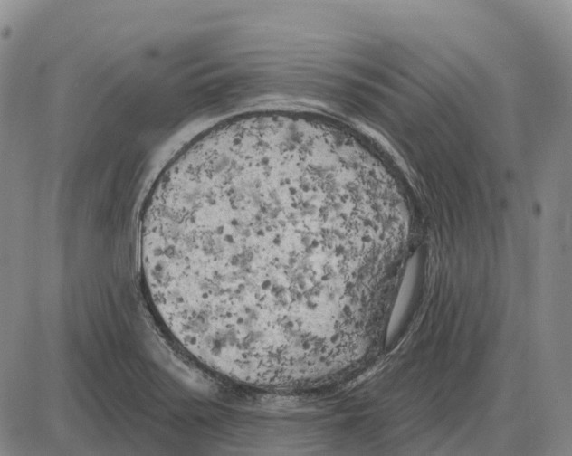 X0000085081371200704021426