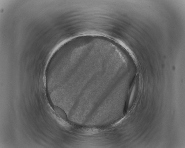 X0000085081372200704021426