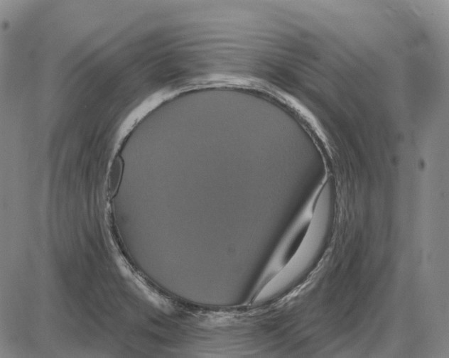 X0000085081373200704021426