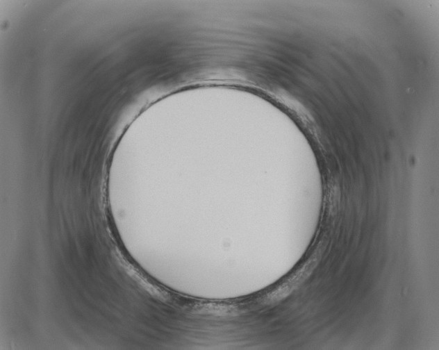 X0000085081374200704021426