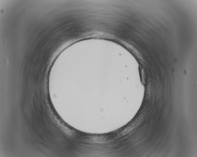 X0000085081375200704021426