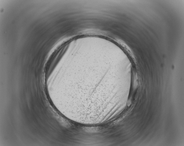 X0000085081376200704021426