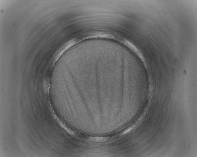 X0000085081377200704021426