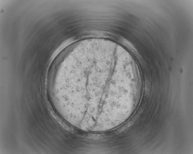 X0000085081378200704021425