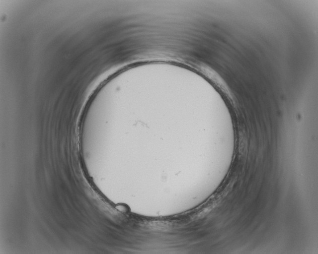 X0000085081380200704021425