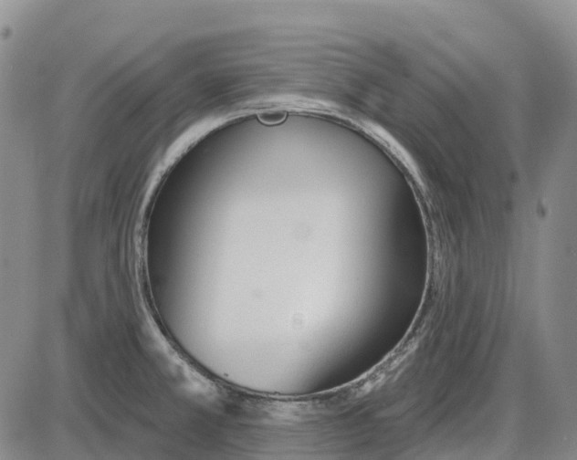 X0000085081381200704021425