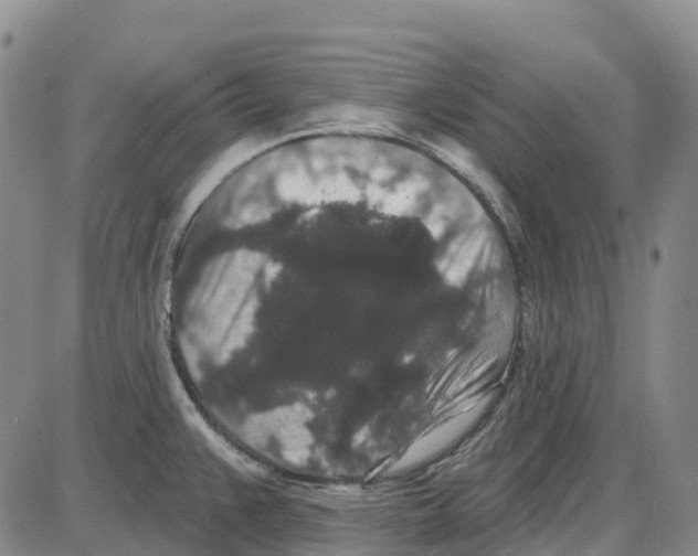 X0000085081383200704021425