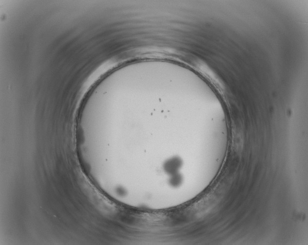 X0000085081384200704021425