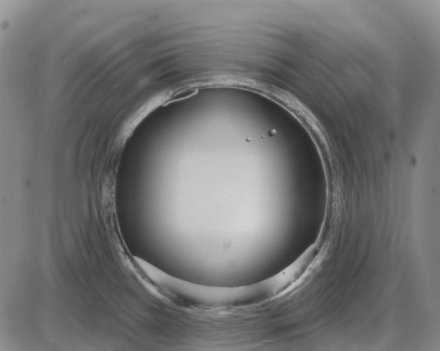 X0000085081385200704021425