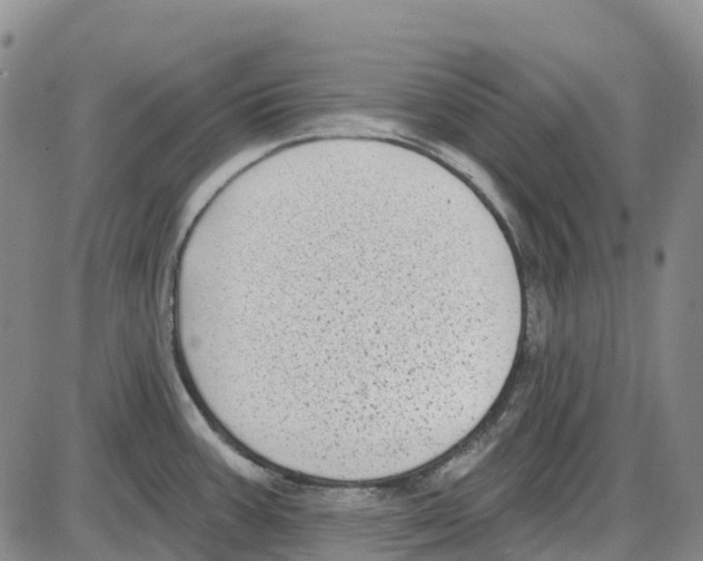 X0000085081387200704021425