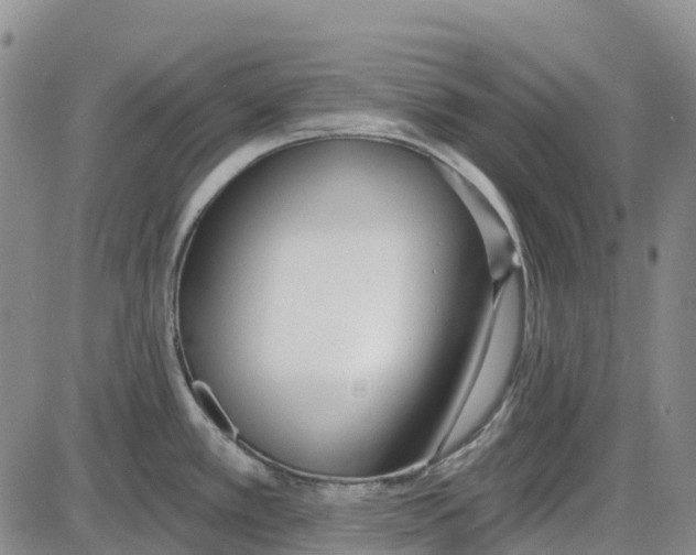 X0000085081389200704021425