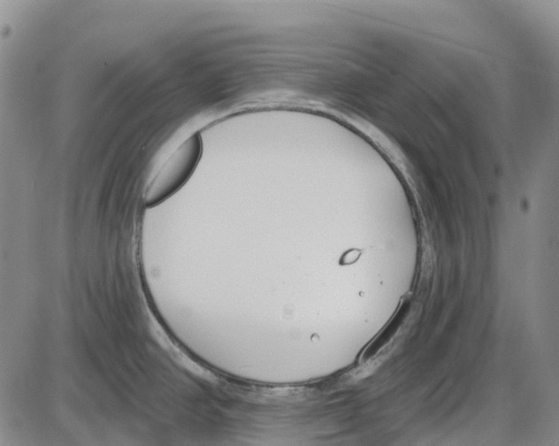 X0000085081390200704021425