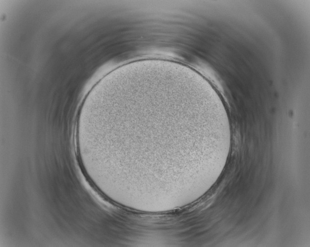 X0000085081391200704021425