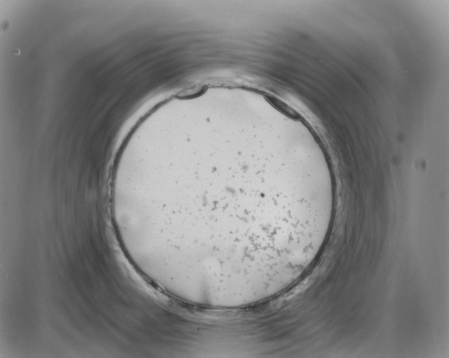 X0000085081392200704021425