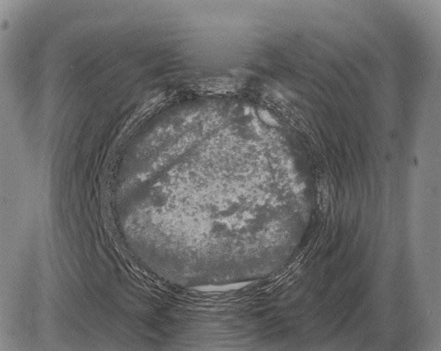 X0000085081393200704021424