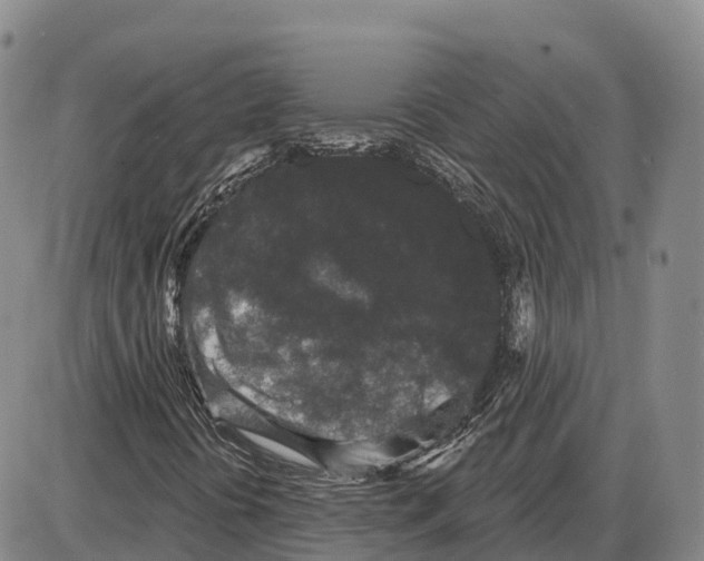 X0000085081394200704021424