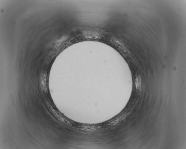 X0000085081396200704021425