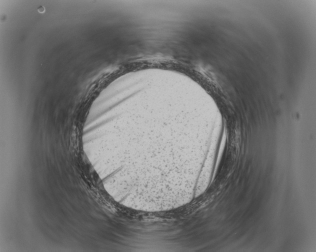 X0000085081398200704021425