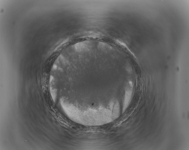 X0000085081399200704021425