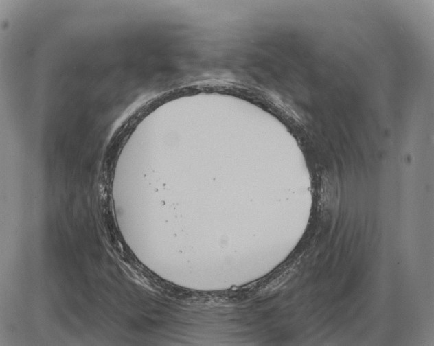 X0000085081400200704021425