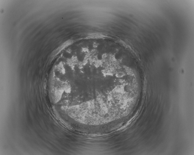 X0000085081401200704021425