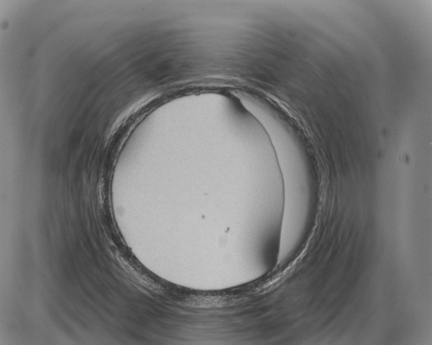 X0000085081402200704021425