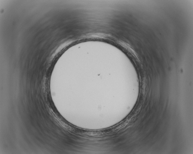 X0000085081404200704021425