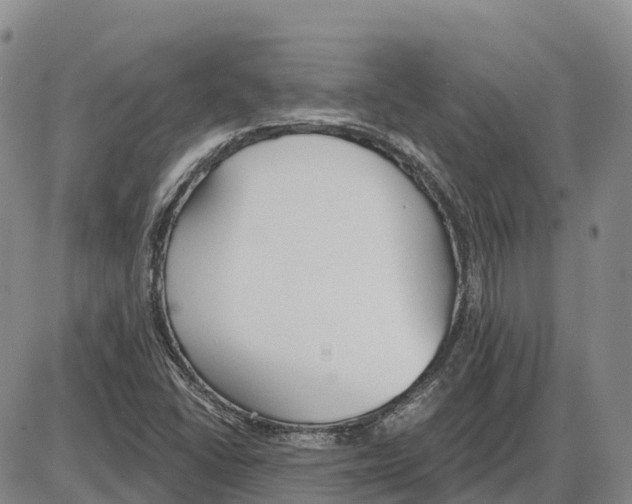 X0000085081406200704021425