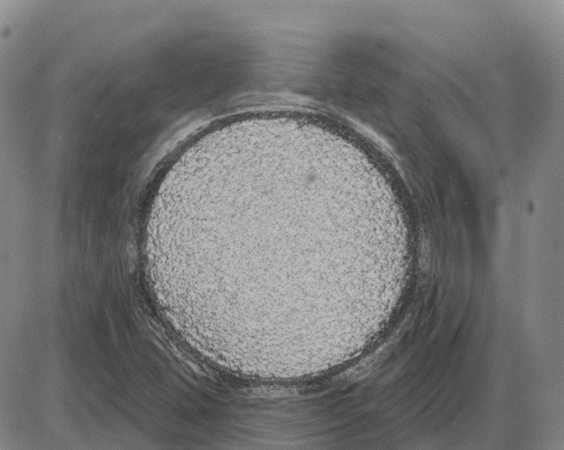 X0000085081407200704021425