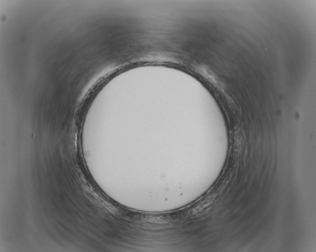 X0000085081408200704021425