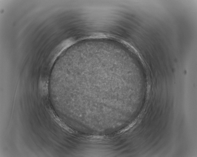 X0000085081409200704021425