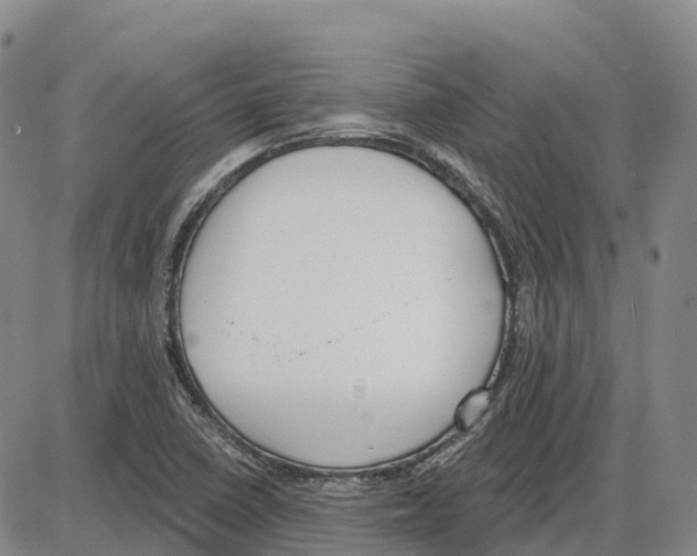 X0000085081410200704021425