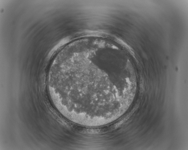 X0000085081411200704021425