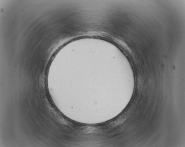 X0000085081412200704021425