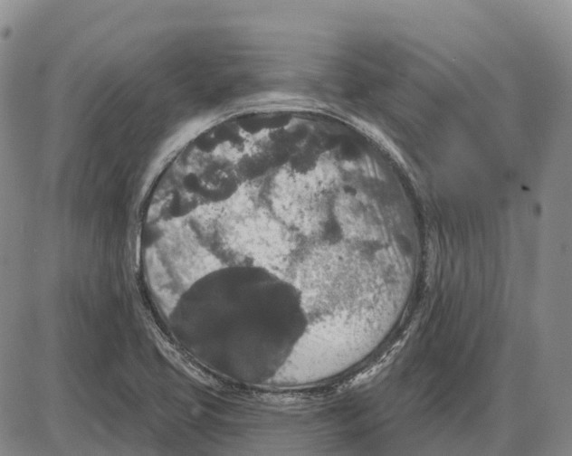 X0000085081413200704021425