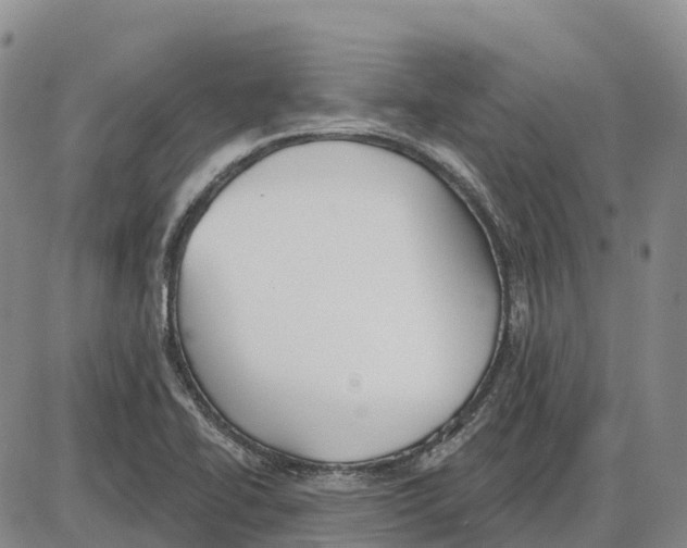 X0000085081414200704021425