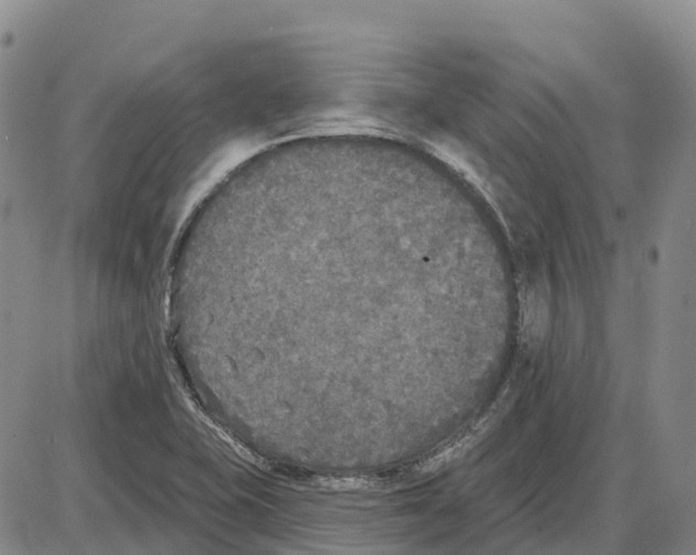 X0000085081415200704021425