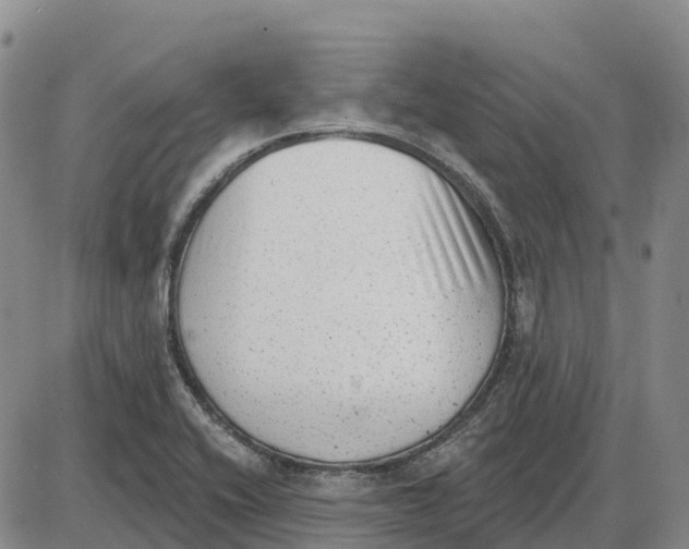 X0000085081416200704021425