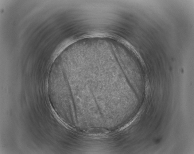 X0000085081417200704021425