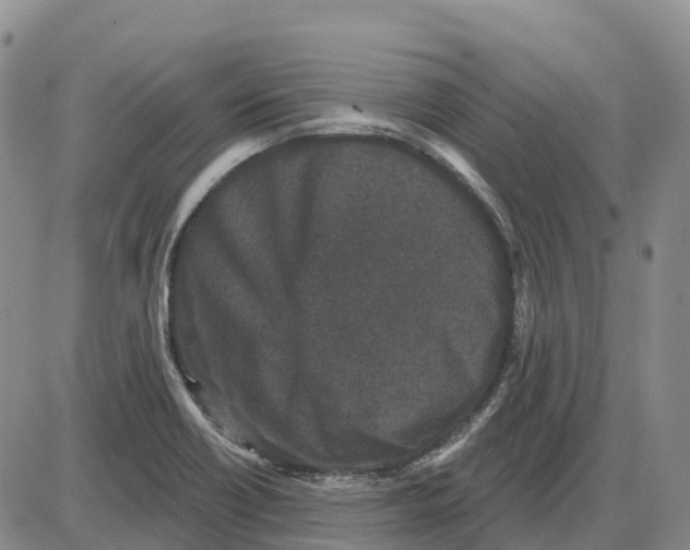 X0000085081418200704021425