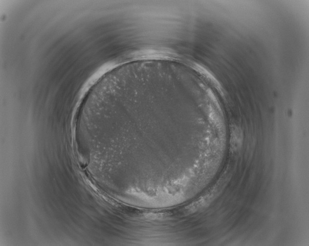 X0000085081419200704021425