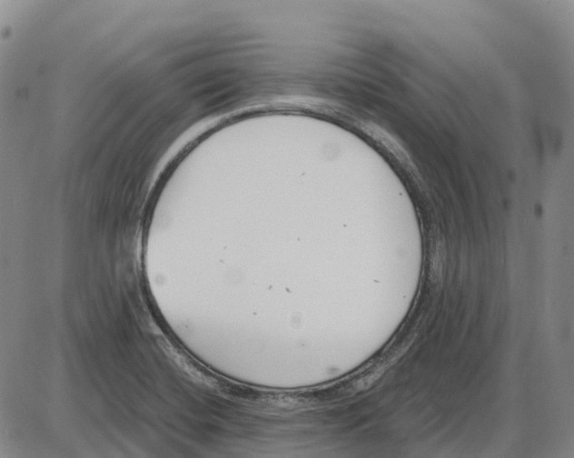 X0000085081420200704021425