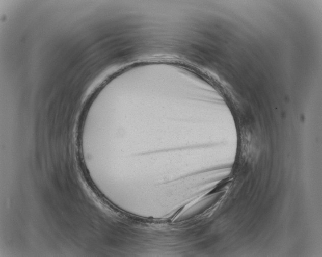 X0000085081422200704021425