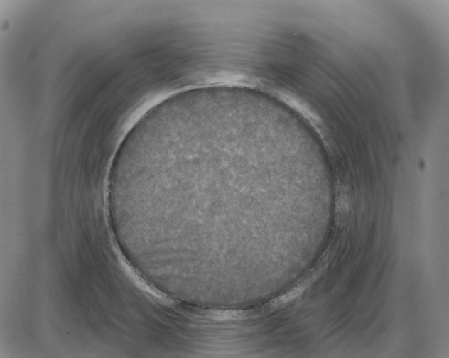 X0000085081423200704021425