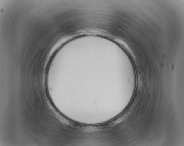 X0000085081424200704021425