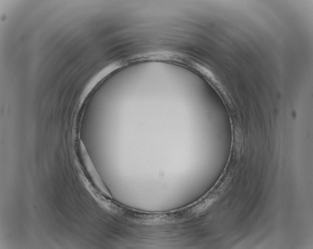 X0000085081426200704021425