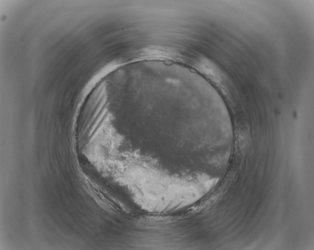 X0000085081427200704021425